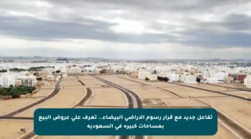 تفاعل جديد مع قرار رسوم الأراضي البيضاء.. تعرف على عروض البيع بمساحات كبيرة في السعودية